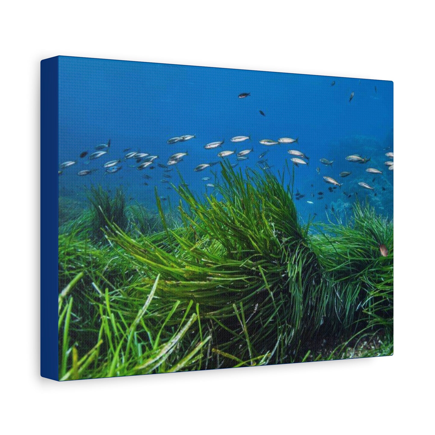 Canvas Print Sea Blue