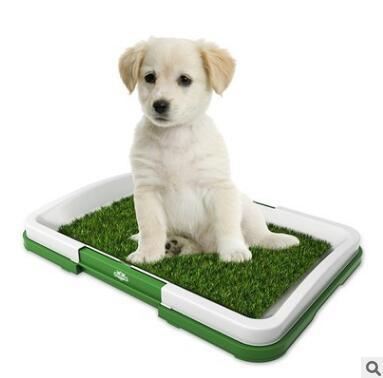 Flat Pet Toilet Dog Potty With Lawn Trumpet